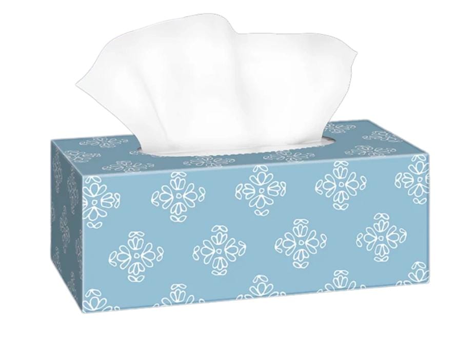 120 Sheets Gogo Facial Tissue - Boxes